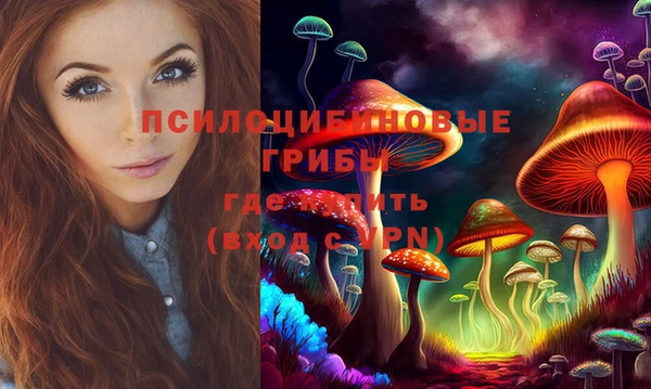 соль курить ск Михайловка