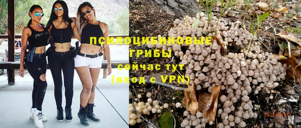 a pvp Михайлов