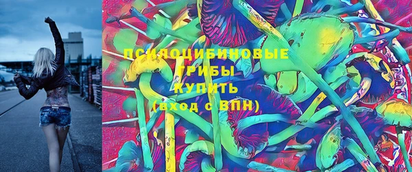 a pvp Михайлов